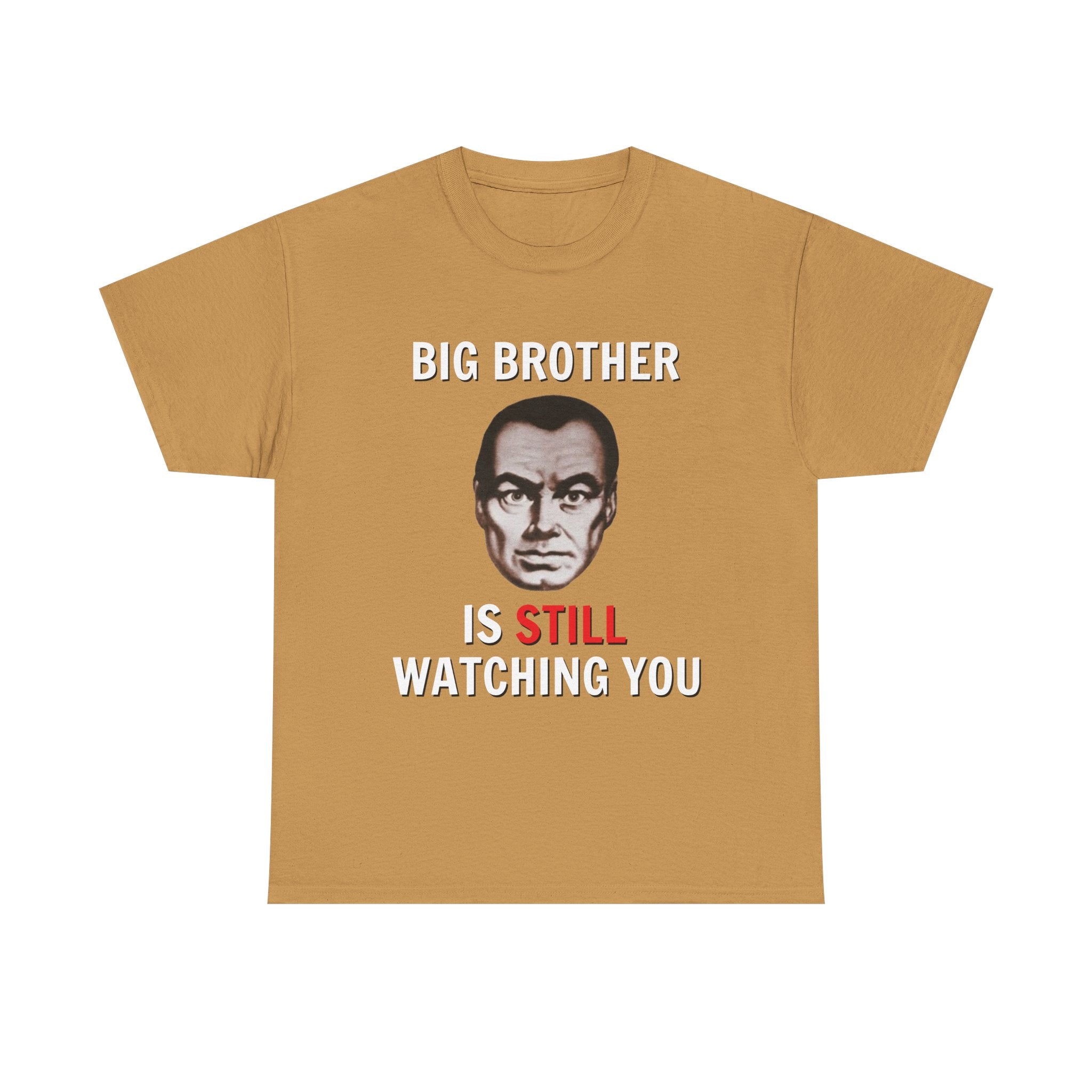 Big Brother Is Still Watching You Shirt