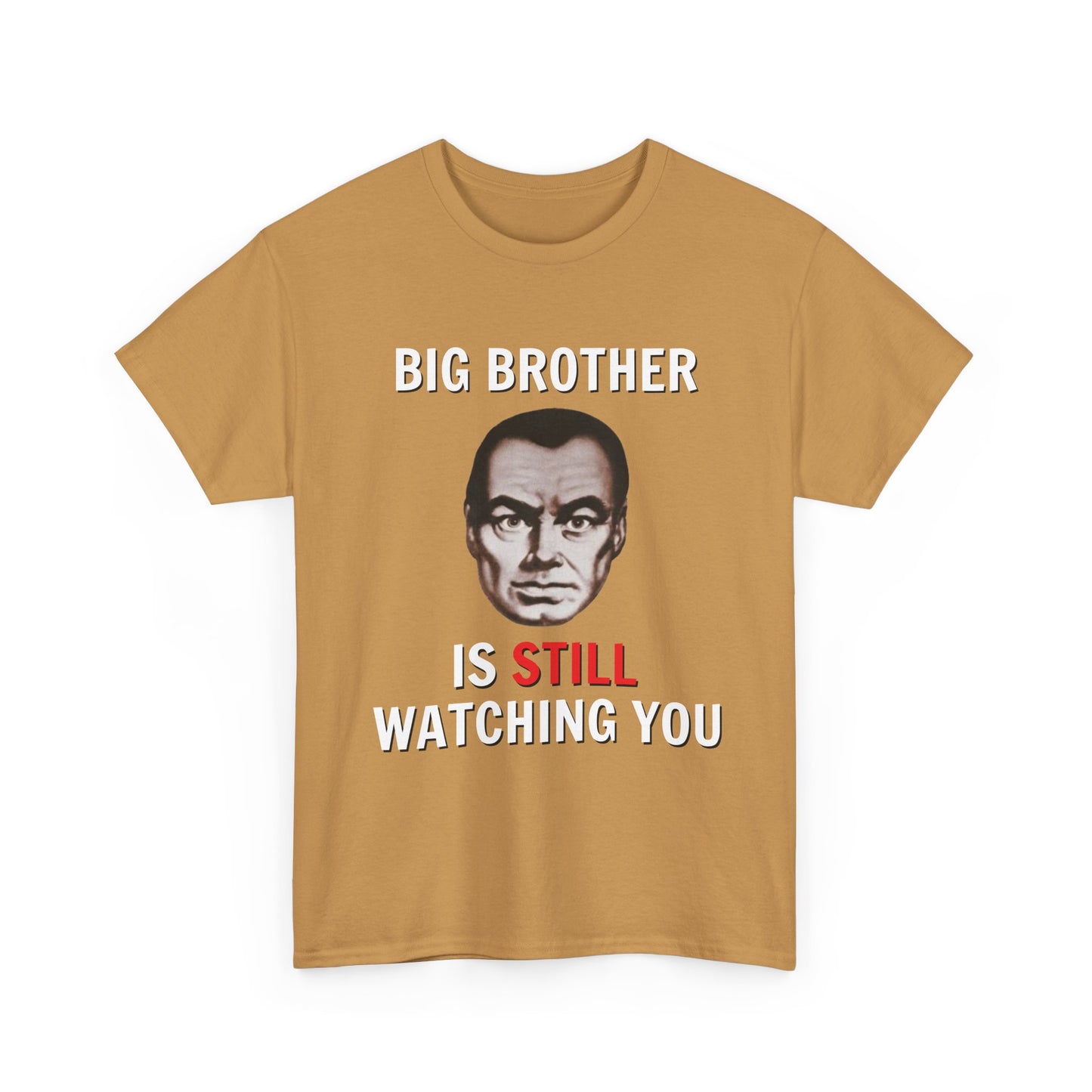 Big Brother Is Still Watching You Shirt